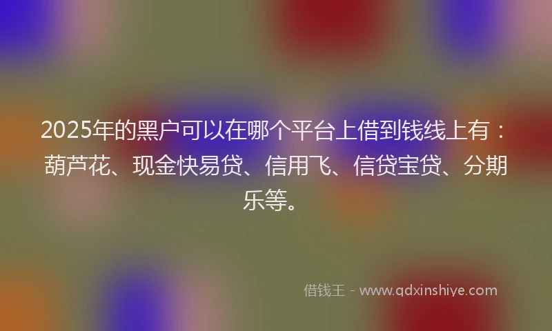 2025年的黑户可以在哪个平台上借到钱线上有：葫芦花、现金快易贷、信用飞、信贷宝贷、分期乐等。