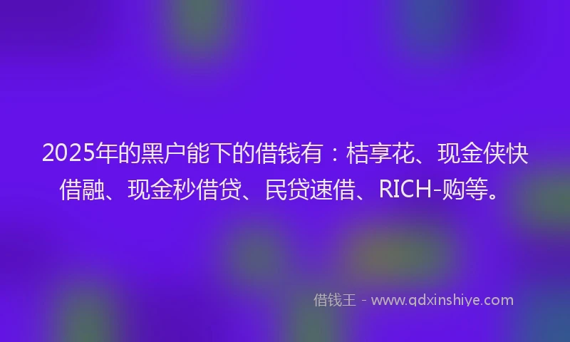 2025年的黑户能下的借钱有：桔享花、现金侠快借融、现金秒借贷、民贷速借、RICH-购等。
