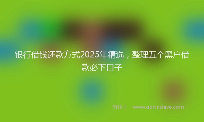 银行借钱还款方式2025年精选，整理五个黑户借款必下口子