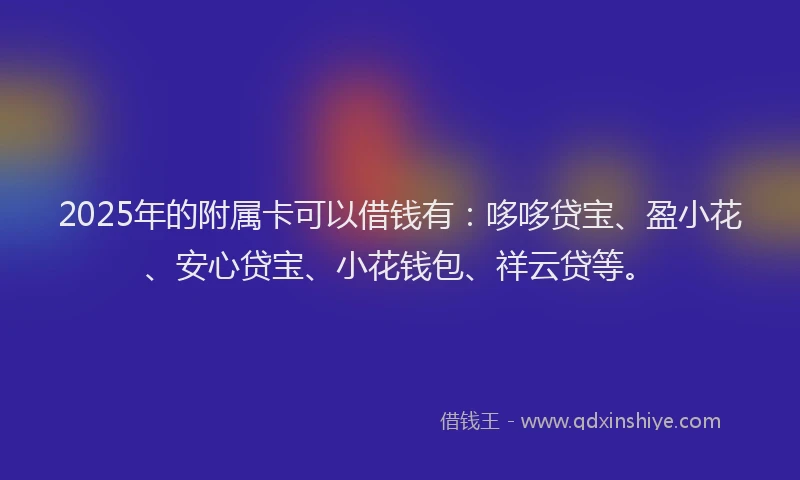 2025年的附属卡可以借钱有：哆哆贷宝、盈小花、安心贷宝、小花钱包、祥云贷等。