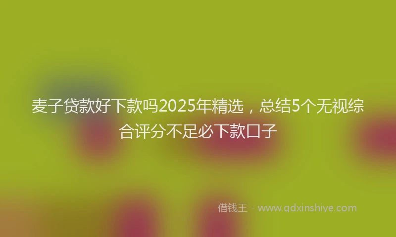 麦子贷款好下款吗2025年精选，总结5个无视综合评分不足必下款口子