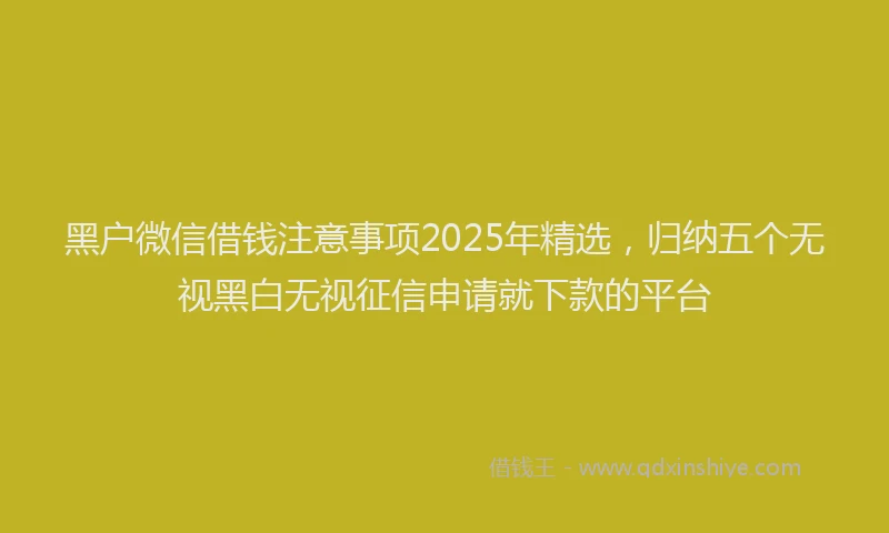 黑户微信借钱注意事项2025年精选，归纳五个无视黑白无视征信申请就下款的平台