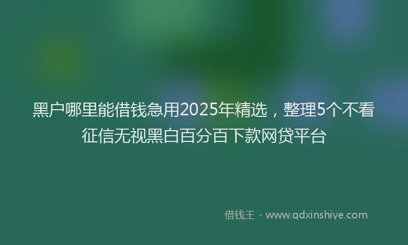 黑户哪里能借钱急用2025年精选，整理5个不看征信无视黑白百分百下款网贷平台