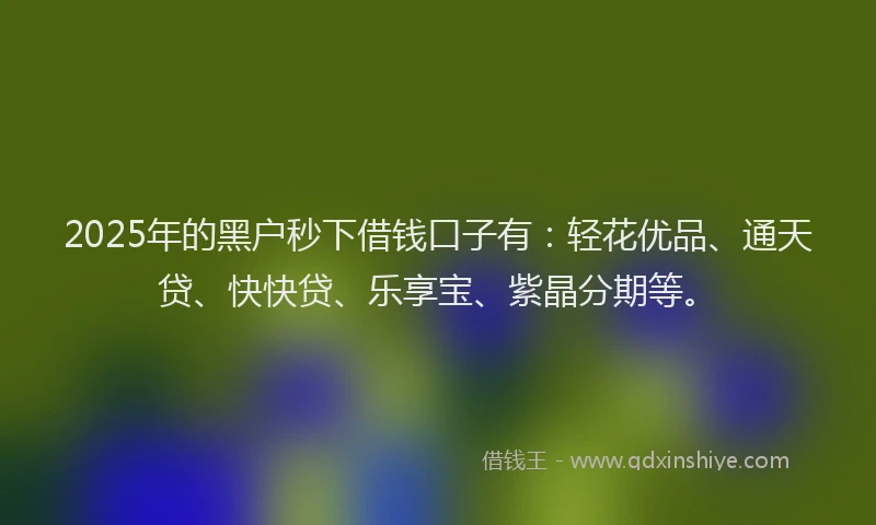 2025年的黑户秒下借钱口子有：轻花优品、通天贷、快快贷、乐享宝、紫晶分期等。