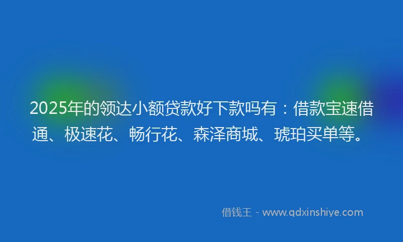 2025年的领达小额贷款好下款吗有：借款宝速借通、极速花、畅行花、森泽商城、琥珀买单等。