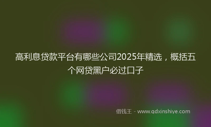 高利息贷款平台有哪些公司2025年精选，概括五个网贷黑户必过口子