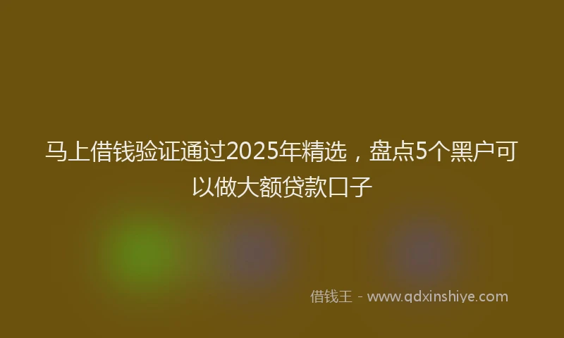 马上借钱验证通过2025年精选，盘点5个黑户可以做大额贷款口子