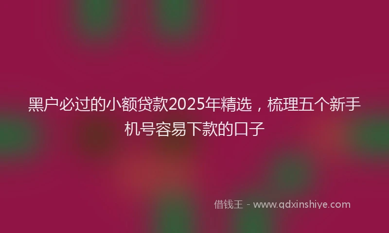 黑户必过的小额贷款2025年精选，梳理五个新手机号容易下款的口子