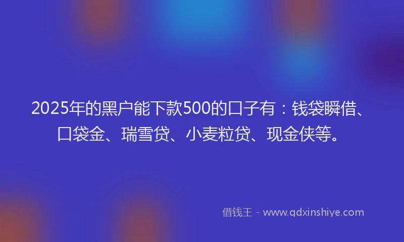2025年的黑户能下款500的口子有：钱袋瞬借、口袋金、瑞雪贷、小麦粒贷、现金侠等。