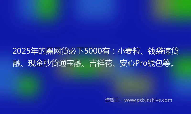 2025年的黑网贷必下5000有：小麦粒、钱袋速贷融、现金秒贷通宝融、吉祥花、安心Pro钱包等。