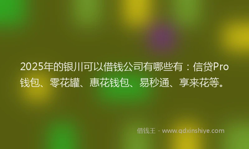 2025年的银川可以借钱公司有哪些有：信贷Pro钱包、零花罐、惠花钱包、易秒通、享来花等。