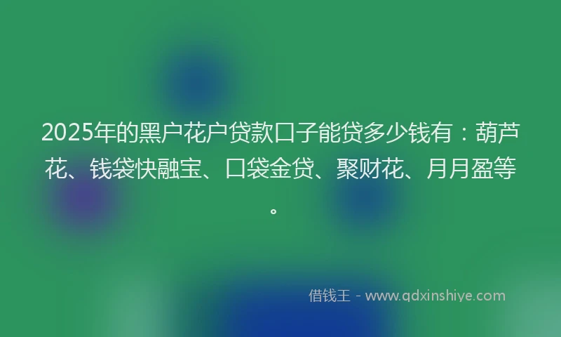 2025年的黑户花户贷款口子能贷多少钱有：葫芦花、钱袋快融宝、口袋金贷、聚财花、月月盈等。