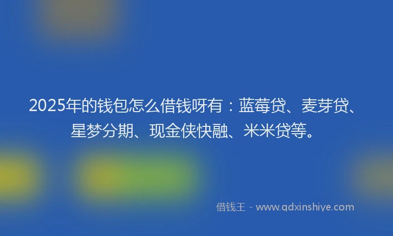 2025年的钱包怎么借钱呀有：蓝莓贷、麦芽贷、星梦分期、现金侠快融、米米贷等。