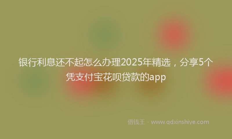 银行利息还不起怎么办理2025年精选，分享5个凭支付宝花呗贷款的app