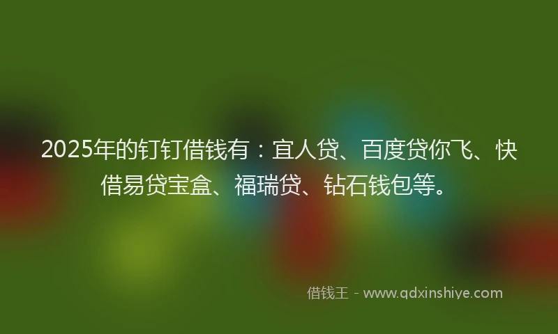 2025年的钉钉借钱有：宜人贷、百度贷你飞、快借易贷宝盒、福瑞贷、钻石钱包等。