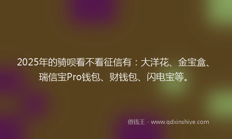2025年的骑呗看不看征信有：大洋花、金宝盒、瑞信宝Pro钱包、财钱包、闪电宝等。