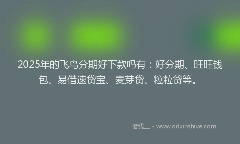 2025年的飞鸟分期好下款吗有：好分期、旺旺钱包、易借速贷宝、麦芽贷、粒粒贷等。
