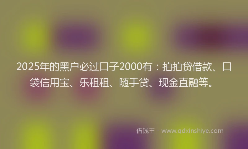 2025年的黑户必过口子2000有：拍拍贷借款、口袋信用宝、乐租租、随手贷、现金直融等。