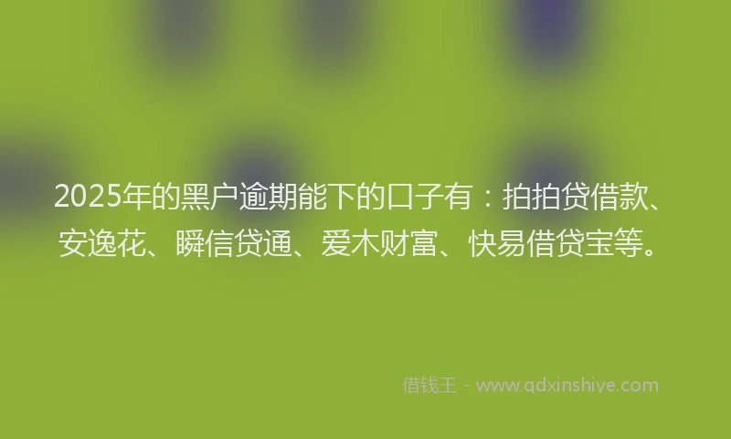 2025年的黑户逾期能下的口子有：拍拍贷借款、安逸花、瞬信贷通、爱木财富、快易借贷宝等。