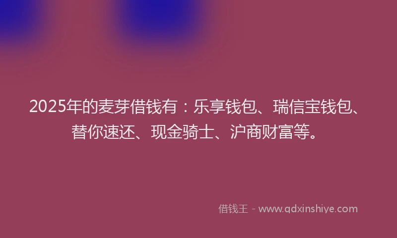 2025年的麦芽借钱有：乐享钱包、瑞信宝钱包、替你速还、现金骑士、沪商财富等。