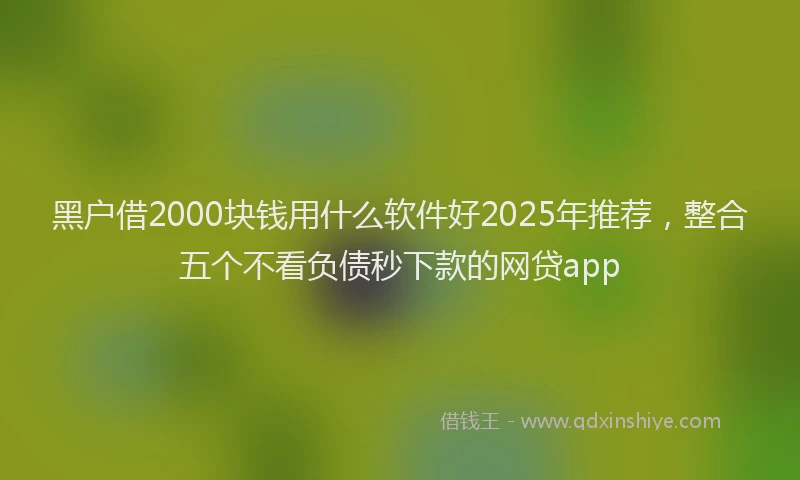 黑户借2000块钱用什么软件好2025年推荐，整合五个不看负债秒下款的网贷app