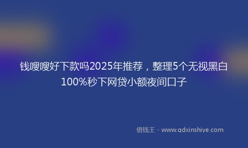 钱嗖嗖好下款吗2025年推荐，整理5个无视黑白100%秒下网贷小额夜间口子