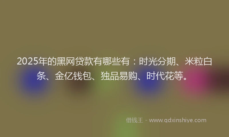 2025年的黑网贷款有哪些有：时光分期、米粒白条、金亿钱包、独品易购、时代花等。