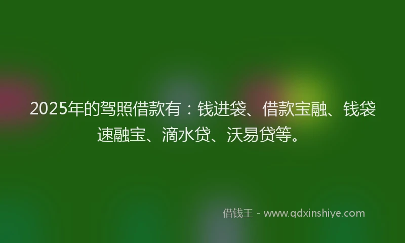 2025年的驾照借款有：钱进袋、借款宝融、钱袋速融宝、滴水贷、沃易贷等。
