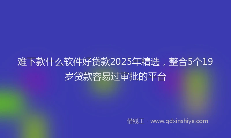 难下款什么软件好贷款2025年精选，整合5个19岁贷款容易过审批的平台