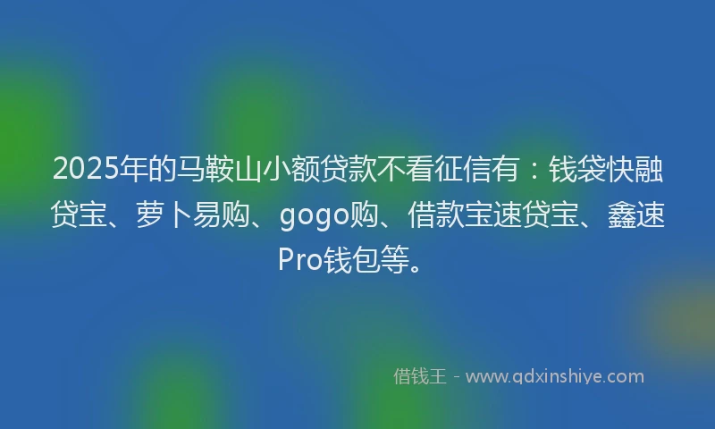 2025年的马鞍山小额贷款不看征信有：钱袋快融贷宝、萝卜易购、gogo购、借款宝速贷宝、鑫速Pro钱包等。