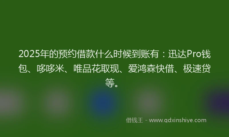 2025年的预约借款什么时候到账有：迅达Pro钱包、哆哆米、唯品花取现、爱鸿森快借、极速贷等。