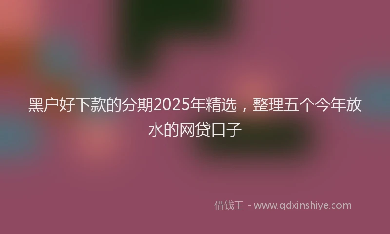 黑户好下款的分期2025年精选，整理五个今年放水的网贷口子