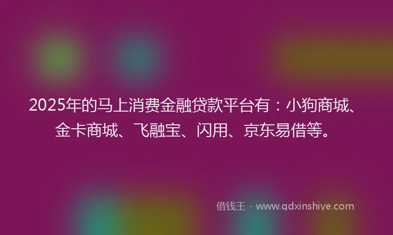 2025年的马上消费金融贷款平台有：小狗商城、金卡商城、飞融宝、闪用、京东易借等。