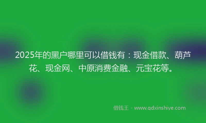 2025年的黑户哪里可以借钱有：现金借款、葫芦花、现金网、中原消费金融、元宝花等。