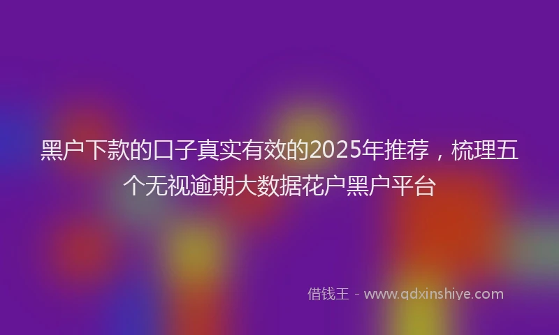 黑户下款的口子真实有效的2025年推荐，梳理五个无视逾期大数据花户黑户平台