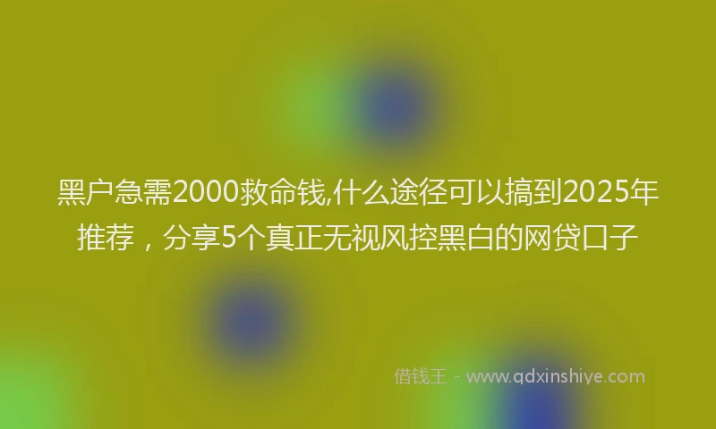 黑户急需2000救命钱,什么途径可以搞到2025年推荐，分享5个真正无视风控黑白的网贷口子