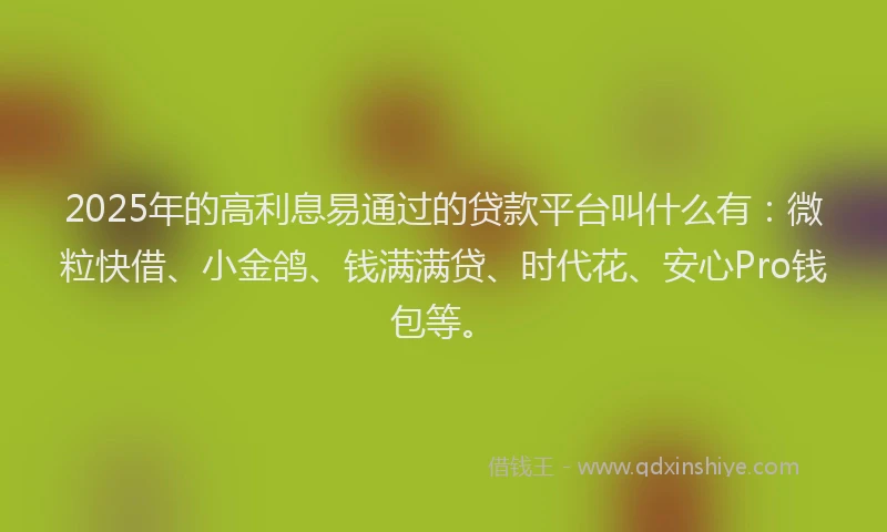 2025年的高利息易通过的贷款平台叫什么有：微粒快借、小金鸽、钱满满贷、时代花、安心Pro钱包等。
