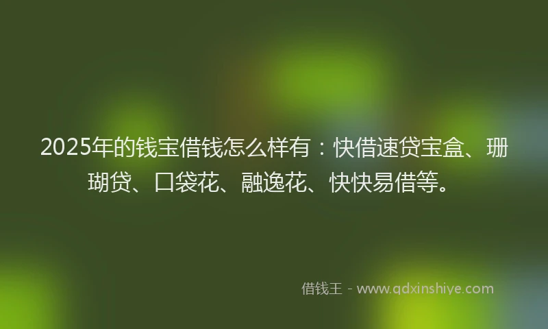 2025年的钱宝借钱怎么样有：快借速贷宝盒、珊瑚贷、口袋花、融逸花、快快易借等。