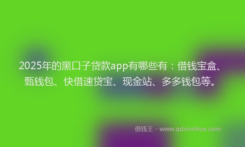 2025年的黑口子贷款app有哪些有：借钱宝盒、甄钱包、快借速贷宝、现金站、多多钱包等。