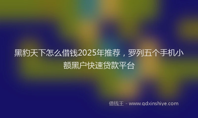 黑豹天下怎么借钱2025年推荐，罗列五个手机小额黑户快速贷款平台