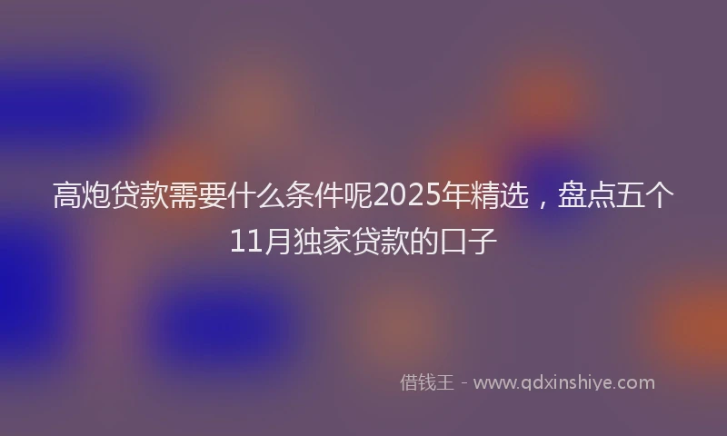 高炮贷款需要什么条件呢2025年精选，盘点五个11月独家贷款的口子