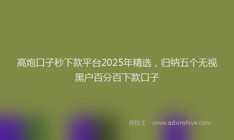 高炮口子秒下款平台2025年精选，归纳五个无视黑户百分百下款口子