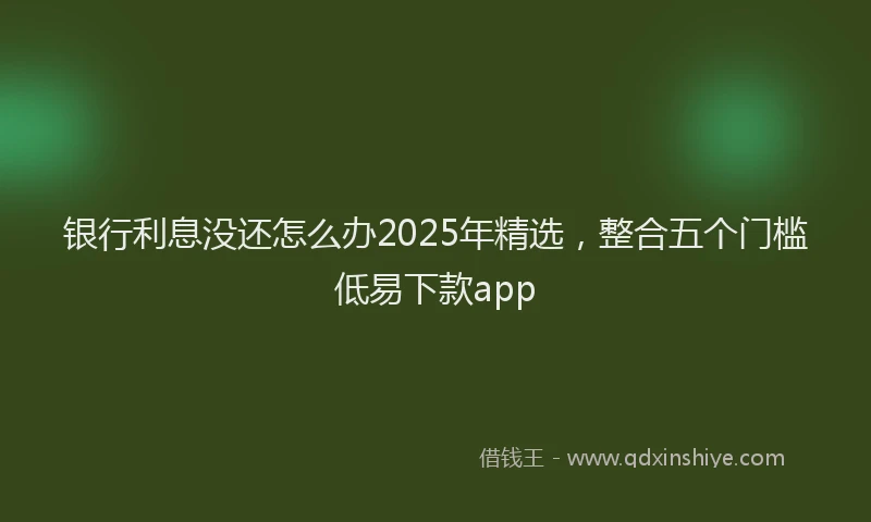 银行利息没还怎么办2025年精选，整合五个门槛低易下款app