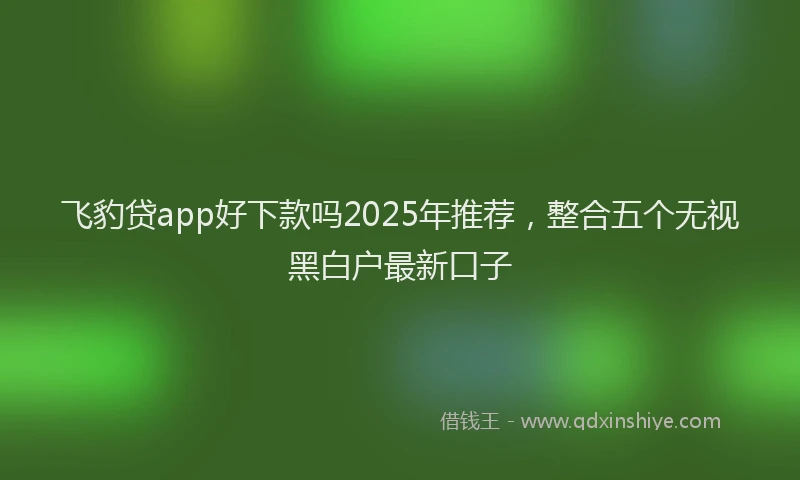 飞豹贷app好下款吗2025年推荐，整合五个无视黑白户最新口子