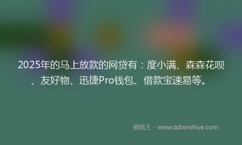 2025年的马上放款的网贷有：度小满、森森花呗、友好物、迅捷Pro钱包、借款宝速易等。