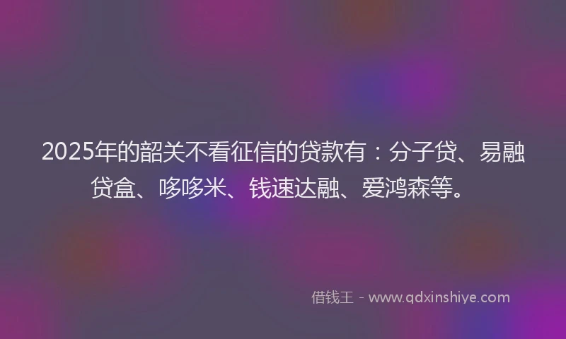 2025年的韶关不看征信的贷款有：分子贷、易融贷盒、哆哆米、钱速达融、爱鸿森等。