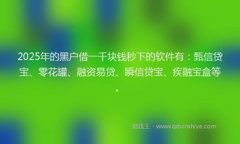 2025年的黑户借一千块钱秒下的软件有：甄信贷宝、零花罐、融资易贷、瞬信贷宝、疾融宝盒等。