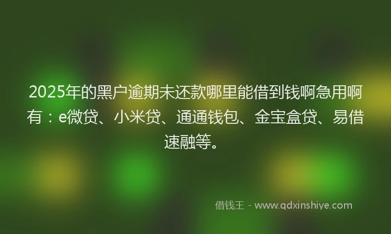 2025年的黑户逾期未还款哪里能借到钱啊急用啊有：e微贷、小米贷、通通钱包、金宝盒贷、易借速融等。