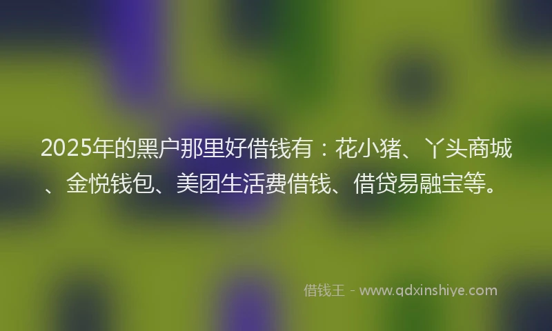 2025年的黑户那里好借钱有：花小猪、丫头商城、金悦钱包、美团生活费借钱、借贷易融宝等。