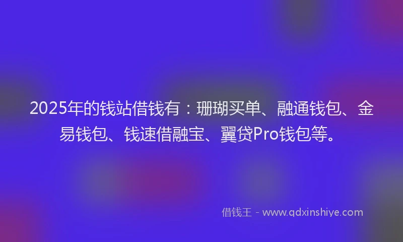 2025年的钱站借钱有：珊瑚买单、融通钱包、金易钱包、钱速借融宝、翼贷Pro钱包等。